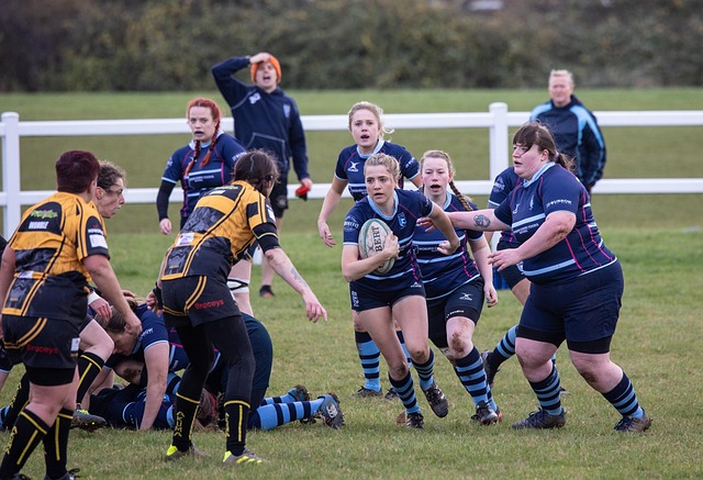 也为球迷们 也为球迷们