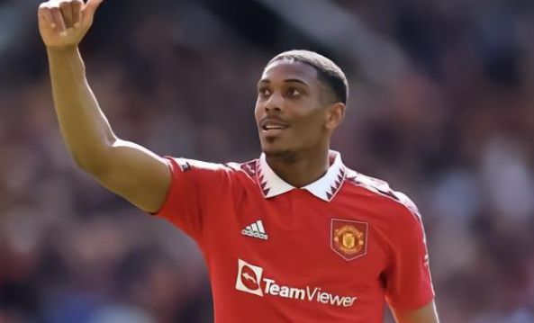 年来的表现 年来的表现